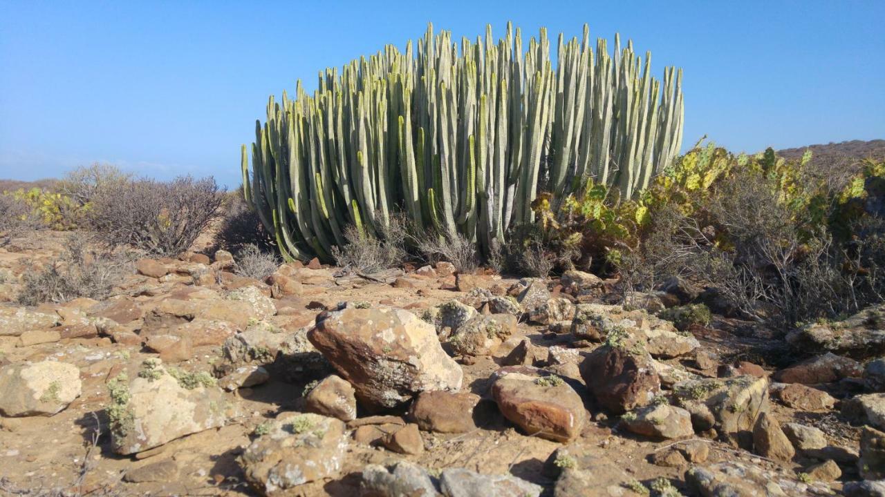 C101 Los Balandros Palm-mar Eksteriør billede